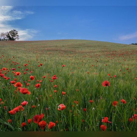 B&B Corte Delle Rose Castiglione Delle Stiviere Bagian luar foto