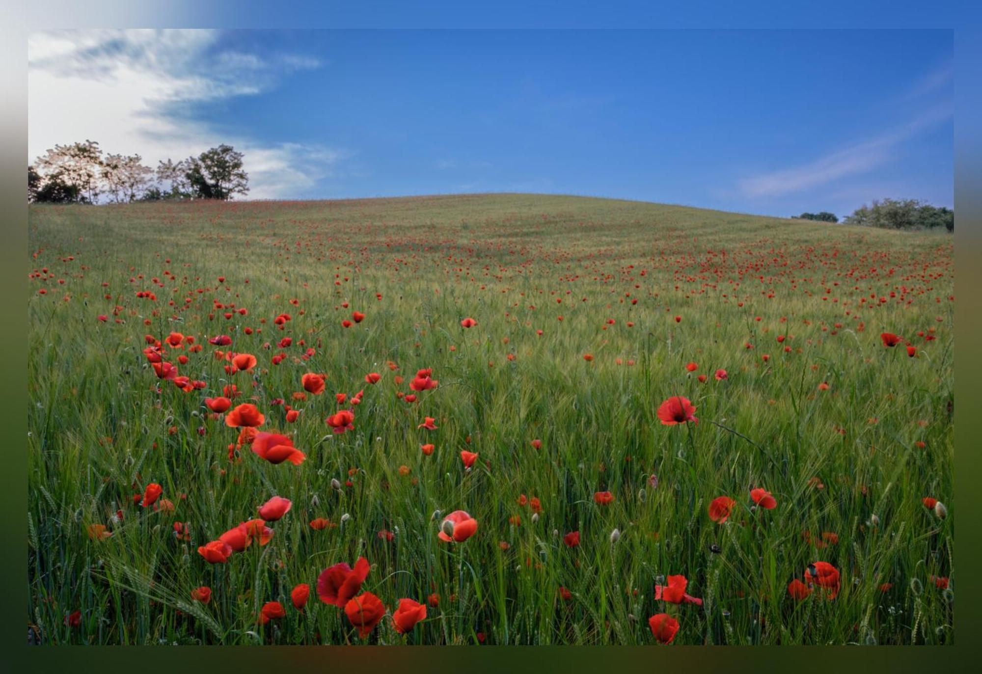 B&B Corte Delle Rose Castiglione Delle Stiviere Bagian luar foto